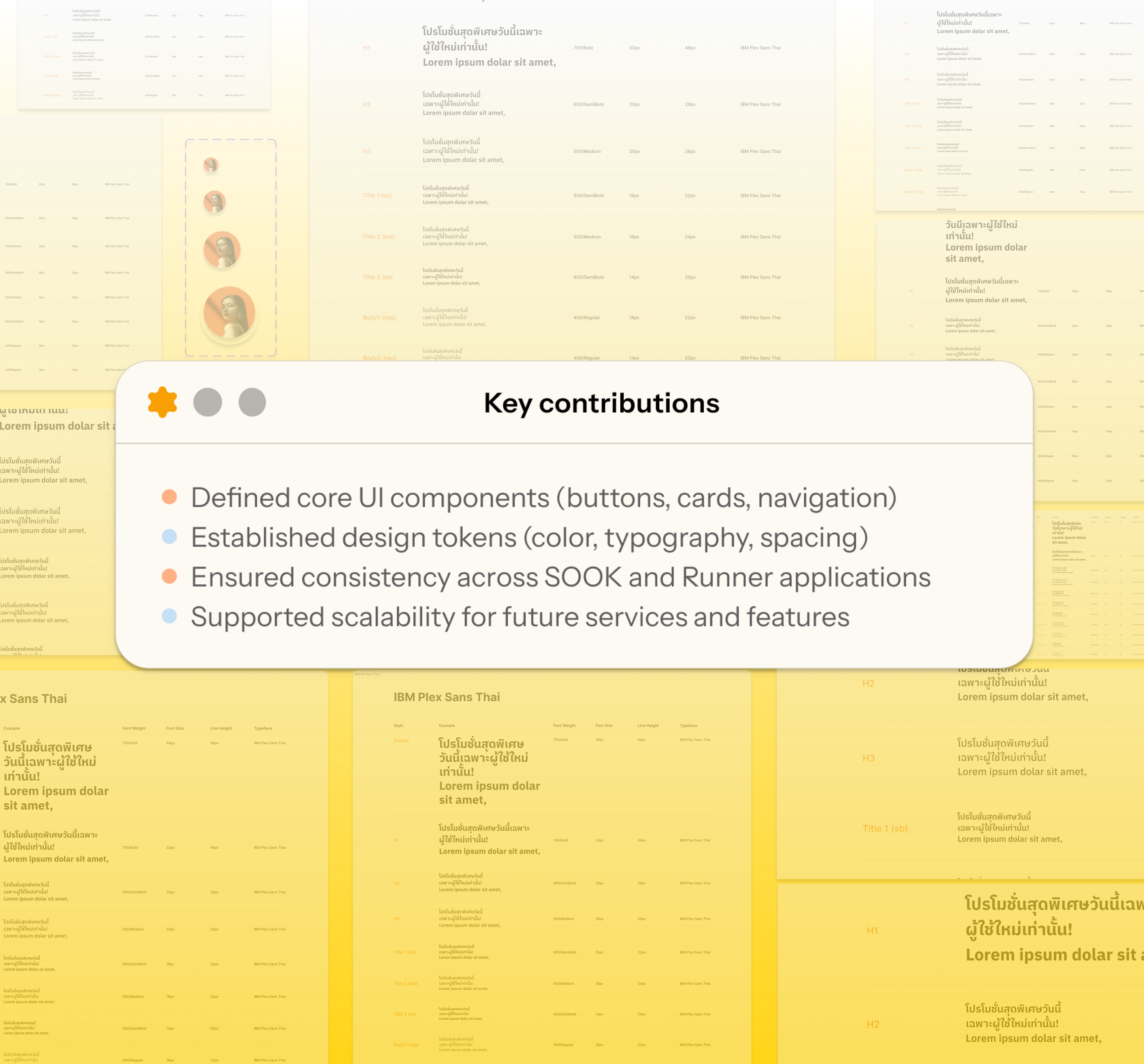 SOOK key contributions visual